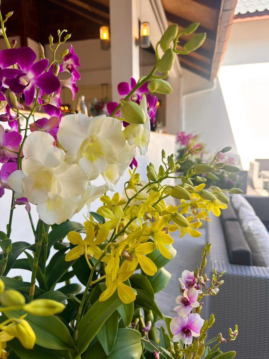 Ocean Pie Phuket - Adult Only Hotel Rawai Exterior photo